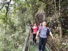 -九龙江国家森林公园