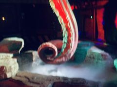 -贝壳梦幻世界