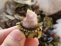 -锦泓老字号猪脏粉(东联大厦店)