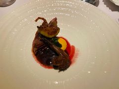 -蝶舍·MAISON PAPILLON