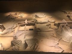 -洛阳周王城天子驾六博物馆