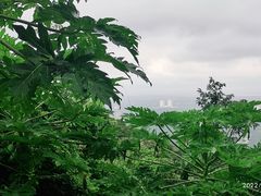 -海南铜鼓岭景区