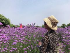 -金色田园农家乐餐厅