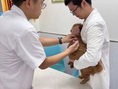 -宠颐生动物医院·小陆分院