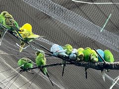 -南宫五洲植物乐园