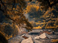 -杨家堂村