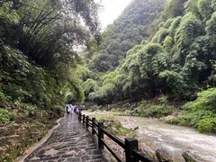 -三峡人家风景区
