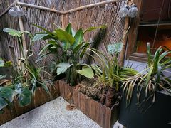 -ChitChat奇洽·Bistro(黎黄陂路店)