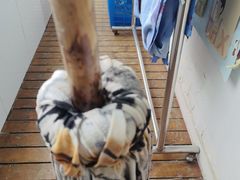 -上海市白玉兰幼儿园