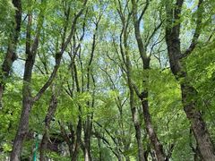 -宁波市保国寺古建筑博物馆