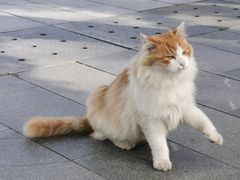 -北京鲁迅博物馆(北京新文化运动纪念馆鲁博馆区)