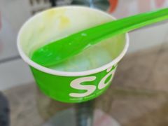 -Salud撒露欧洲冻酸奶(北苑上品店)