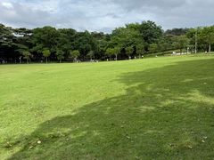 -东莞植物园