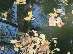 -绮园景区