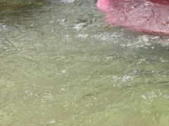 -南宫温泉水世界