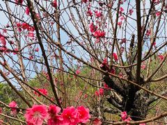 -白水带风景区体育公园