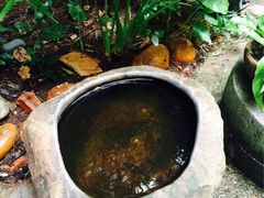iphone_upload_pic-天水蔬食料理(树德之光店)