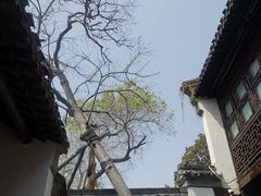 -个园