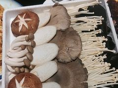 -蝎王府羊蝎子(北大地店)