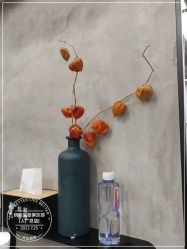 -蚂蚁造型俱乐部