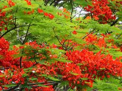 -二沙岛艺术公园