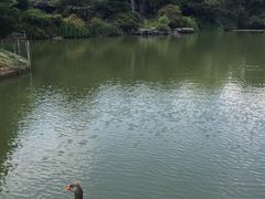 景观位-杭州西子湖四季酒店·金沙厅