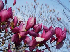 -北京西山国家森林公园