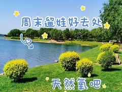 -丁香湖公园