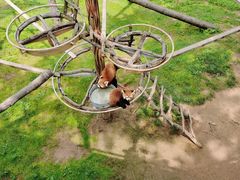 -西霞口神雕山野生动物世界