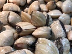 -味餐厅·海鲜·火锅·自助餐