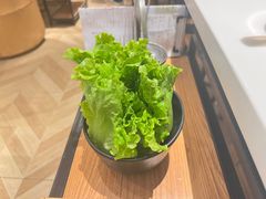 -东椰·海南椰子鸡火锅(朝阳门店)