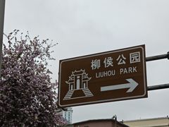 -柳侯公园