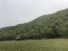 -大水川景区
