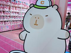 -龙湖南京河西天街
