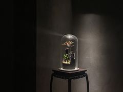 -觀芷隐轩