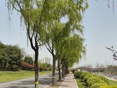 -洨河生态公园