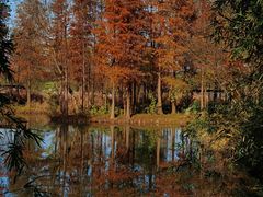 -西溪国家湿地公园