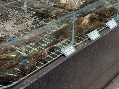 -湘轩·土菜研究院(光大店)