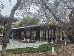 -万泉公园