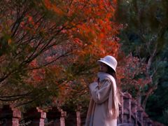 -田野绿世界