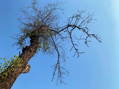 -厉家菜(德胜门总店)