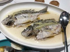 油盐焗立鱼-花城苑广府菜(侨鑫店)