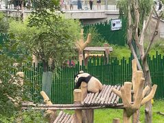 -沈阳森林动物园