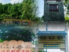 -大亚湾红树林城市湿地公园