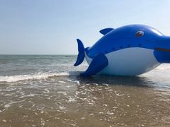 -日照海滨国家森林公园