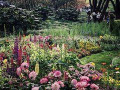 -上海共青森林公园