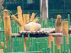 -沈阳森林动物园