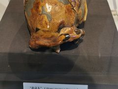 -北京周口店北京人遗址博物馆