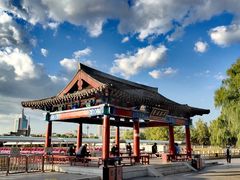 -莲花池公园