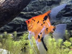 -上海海洋水族馆